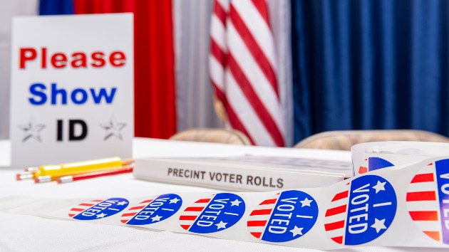 istock_91120_pollvote