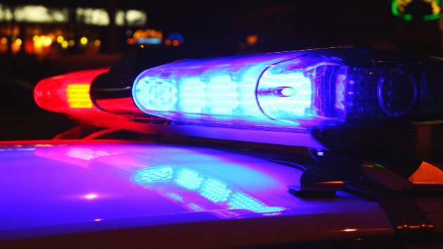 istock_91820_policelights
