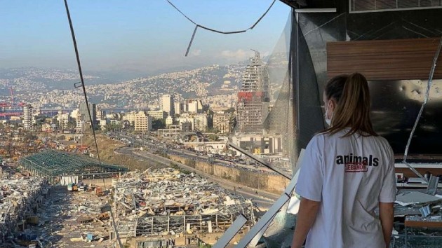 0916232516-animals_lebanon_3_1600341326972_hpembed_4x3_992201