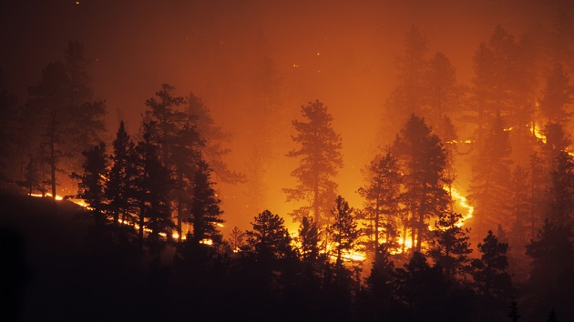 istock_092020_wildfires