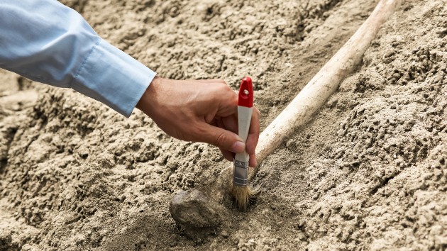 istock_92120_paleodig