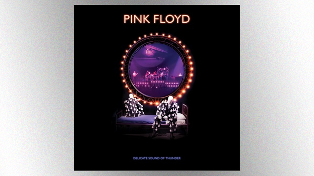 m_pinkfloyddelicatesoundofthunder630_092420