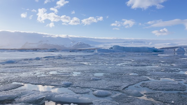 istock_92520_articice