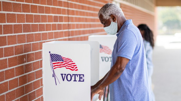 istock_10220_votingmask
