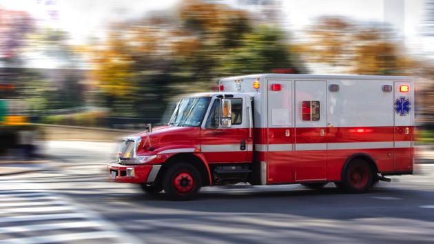 istock_102120_nystatebuscrash