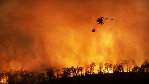 istock_102420_wildfire