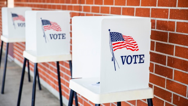 istock_102820_votingeorgia