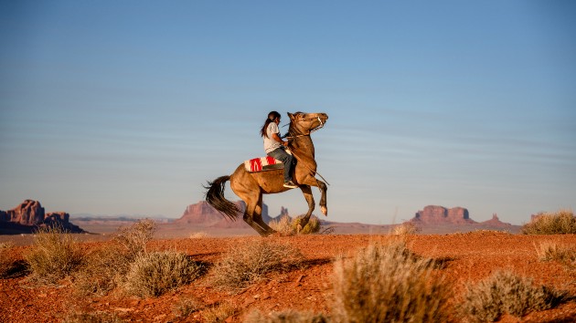 istock_111720_navajomale