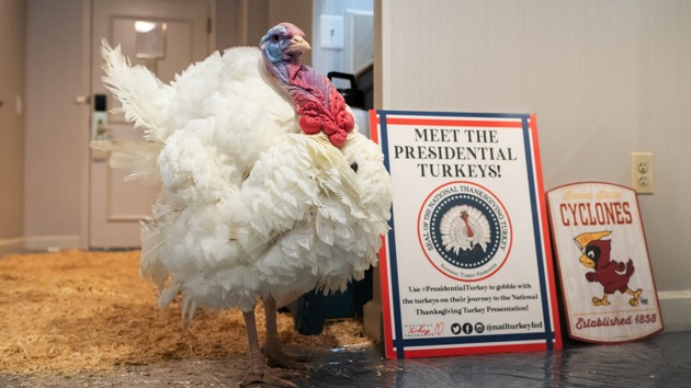 wh_112420_presturkeypardon