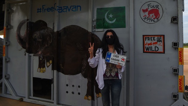 getty_113020_cherkaavanelephant