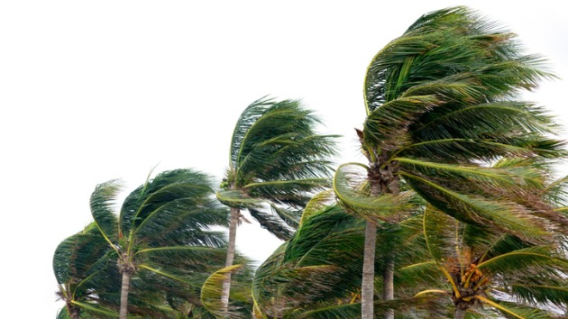 istock_windystorm_122620
