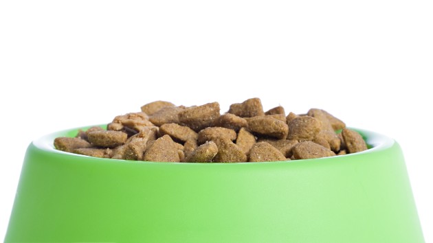 istock_123120_dogdryfood