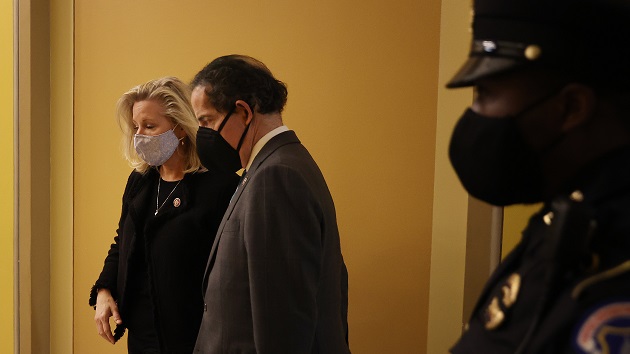 gettyimages_lizcheney_011321