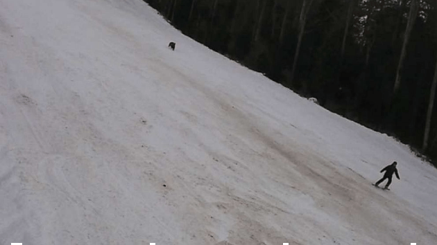 bear-ski-ht-ml-210128_1611840692345_hpmain_16x9_992