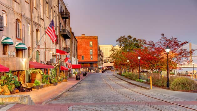 istock_031321_savannah