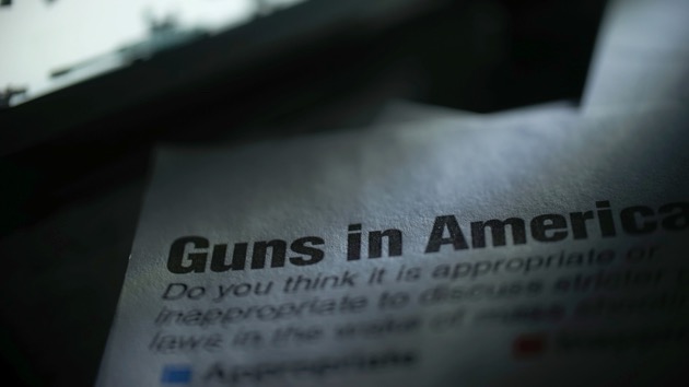 istock_032321_gunlaws