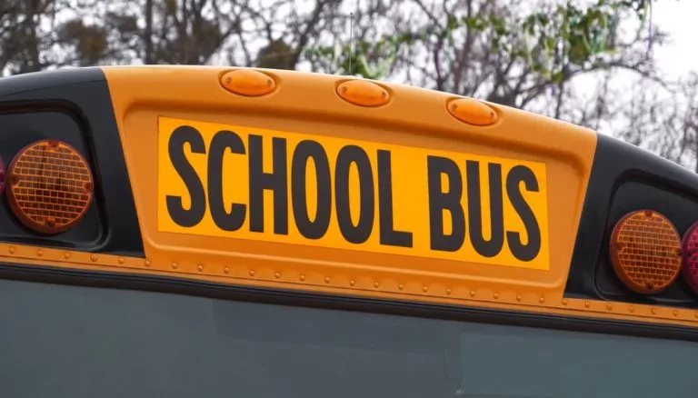 school-bus-safe-5-768x438245888-1