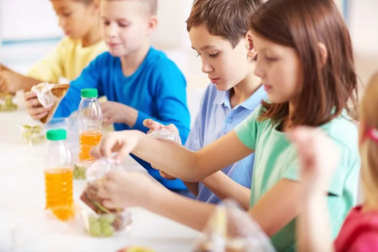 kids-lunch-safe-768x512374290-1