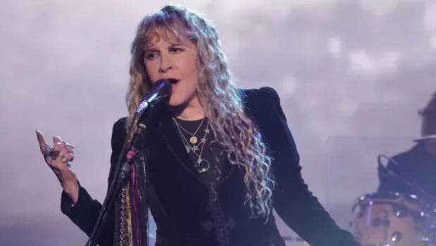 m_stevienicks_112224476331