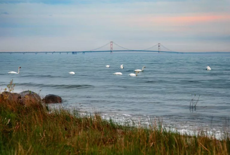 mackinac-bridge-wide-shot-768x519310032-1