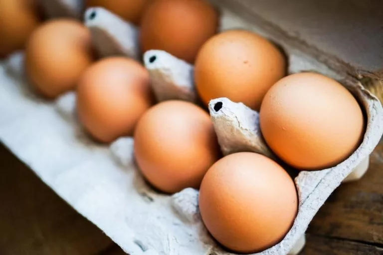 eggs-safe-768x51147829-1