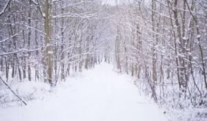 snow-safe-272698323