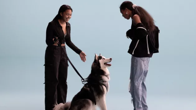 e_pets_041625208834