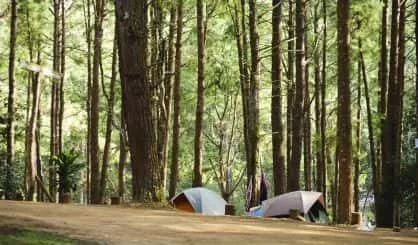 camp-safe350644