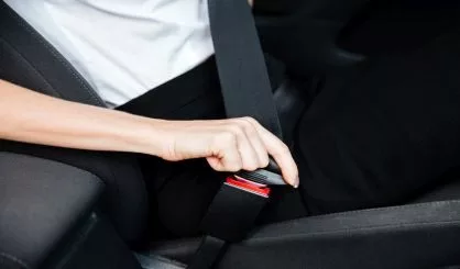 seatbelt-safe642143