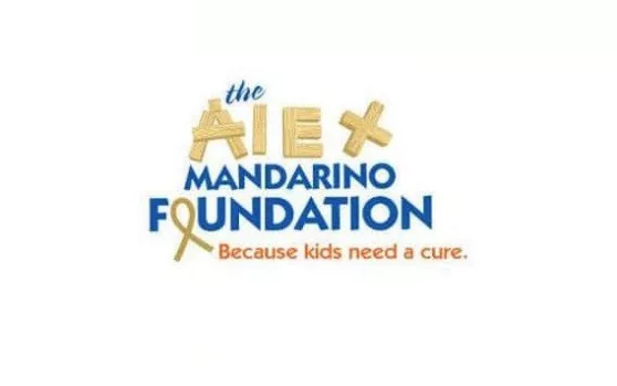mandarinoa-foundation985507