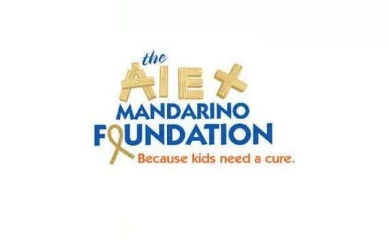 mandarinoa-foundation985507