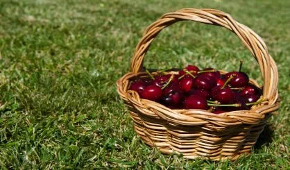 cherries-safe-178133