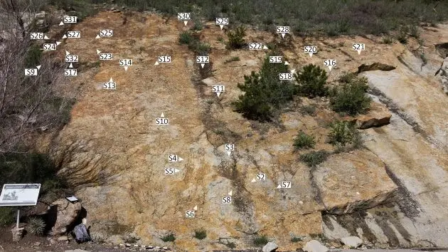 n_dinosaurdancearena_071625371088