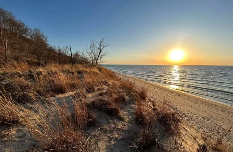 sunset-1-768x50264290-1