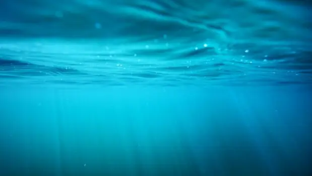 ocean-safe-768x432809716-1
