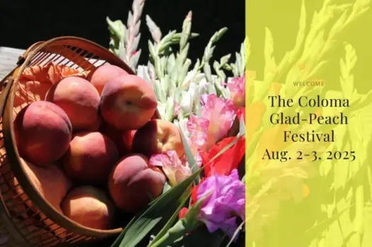 peach-fest-768x511829710-1