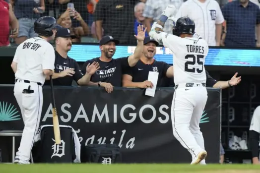 073025-tigersdbacks-768x512805679-1