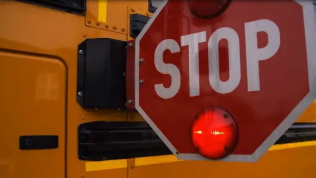 school-bus-safe-34-768x434568364-1