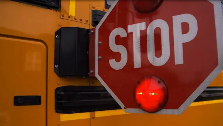 school-bus-safe-34-768x434568364-1