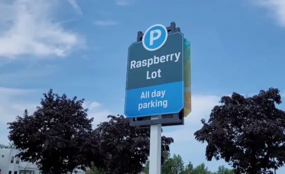 raspberry-lot-768x469817522-1