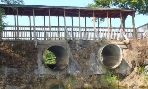 briggs-dam74593