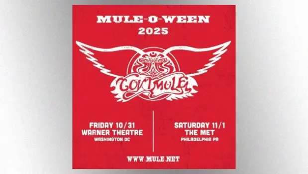 m_govtmulemuleoween2_090325624648