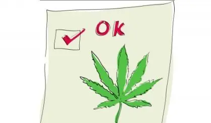 marijuana88429788