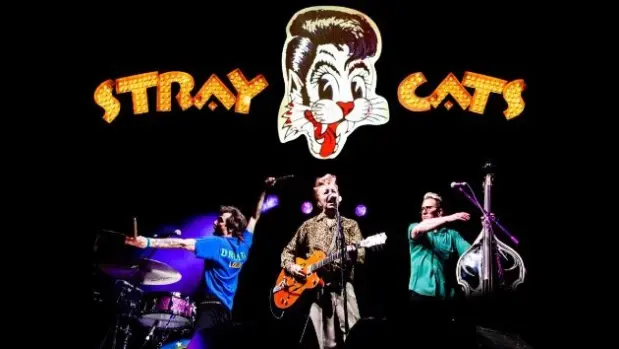 m_straycats_102825794166