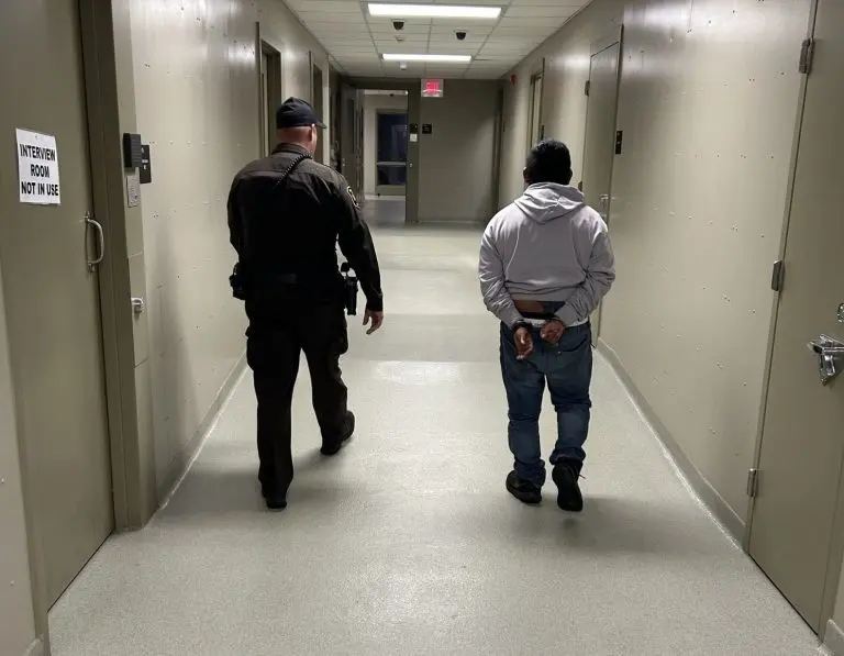 dv-arrest-768x597612377-1