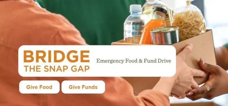 tetytreyrr-768x358928054-1