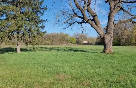 martinedale-768x496925155-1