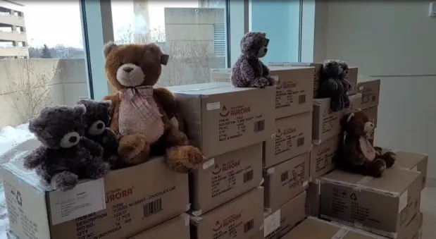 bears-23232-768x420718831-1