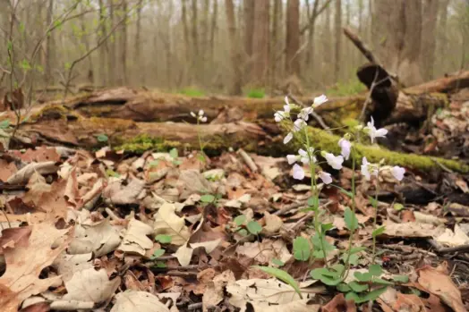 600238718_1186919973599565_1291917661379426747_n-768x512183171-1