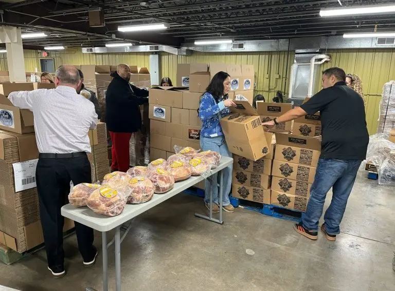 mljkljkljiou-768x567480257-1